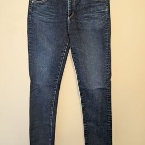 AG Adriano Goldschmied Blue Skinny Jeans